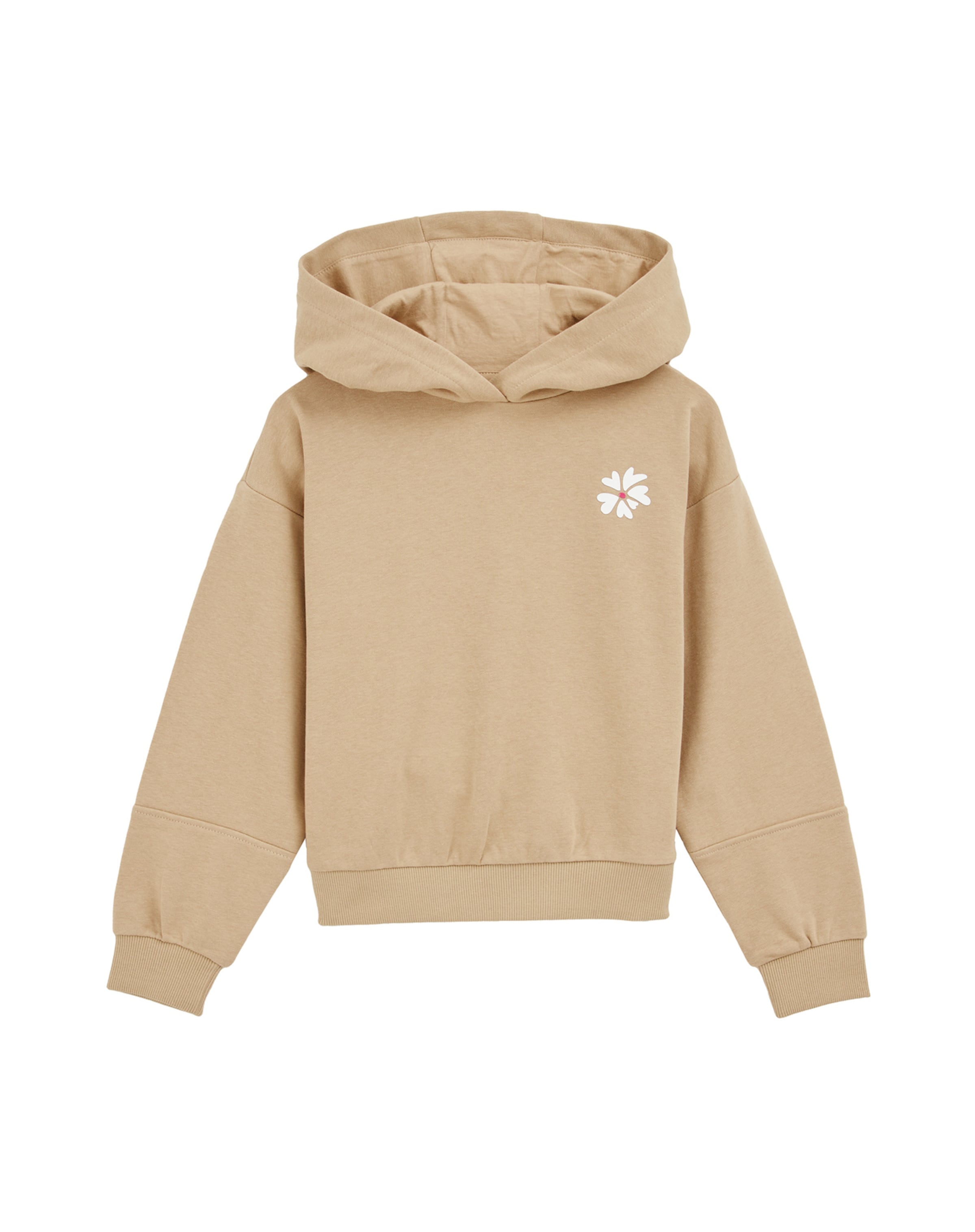 WE Fashion Свитшот в Коричневый: спереди