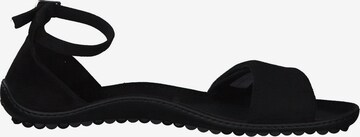 Leguano Sandaal in Zwart