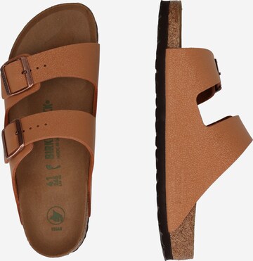 BIRKENSTOCK Pantoletter 'Arizona' i brun