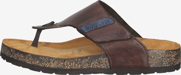 bugatti T-Bar Sandals in Brown