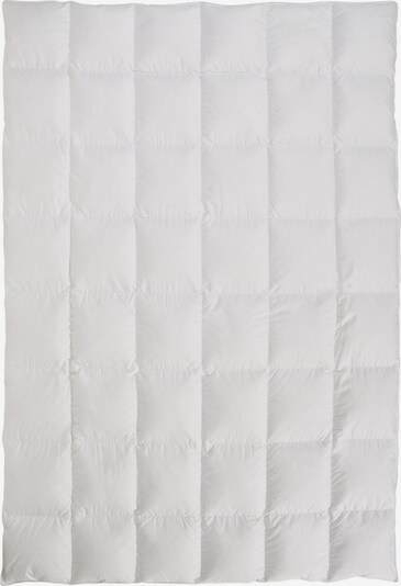 Quilts of Denmark Decke 'Winter' in weiß, Produktansicht