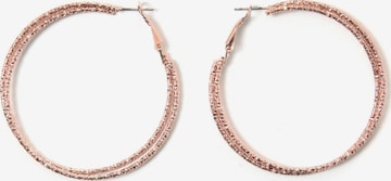 COLLEZIONE ALESSANDRO Earrings 'Aili' in Pink: front