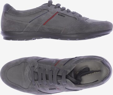 GEOX Sneakers & Trainers in 41 in Grey: front