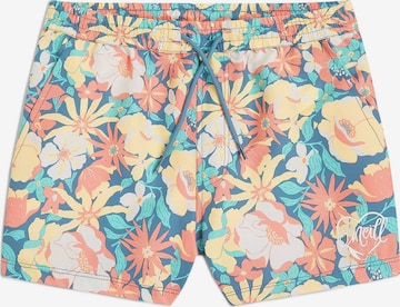 O'NEILL Badpak 'Essentials 11' in Gemengde kleuren: voorkant