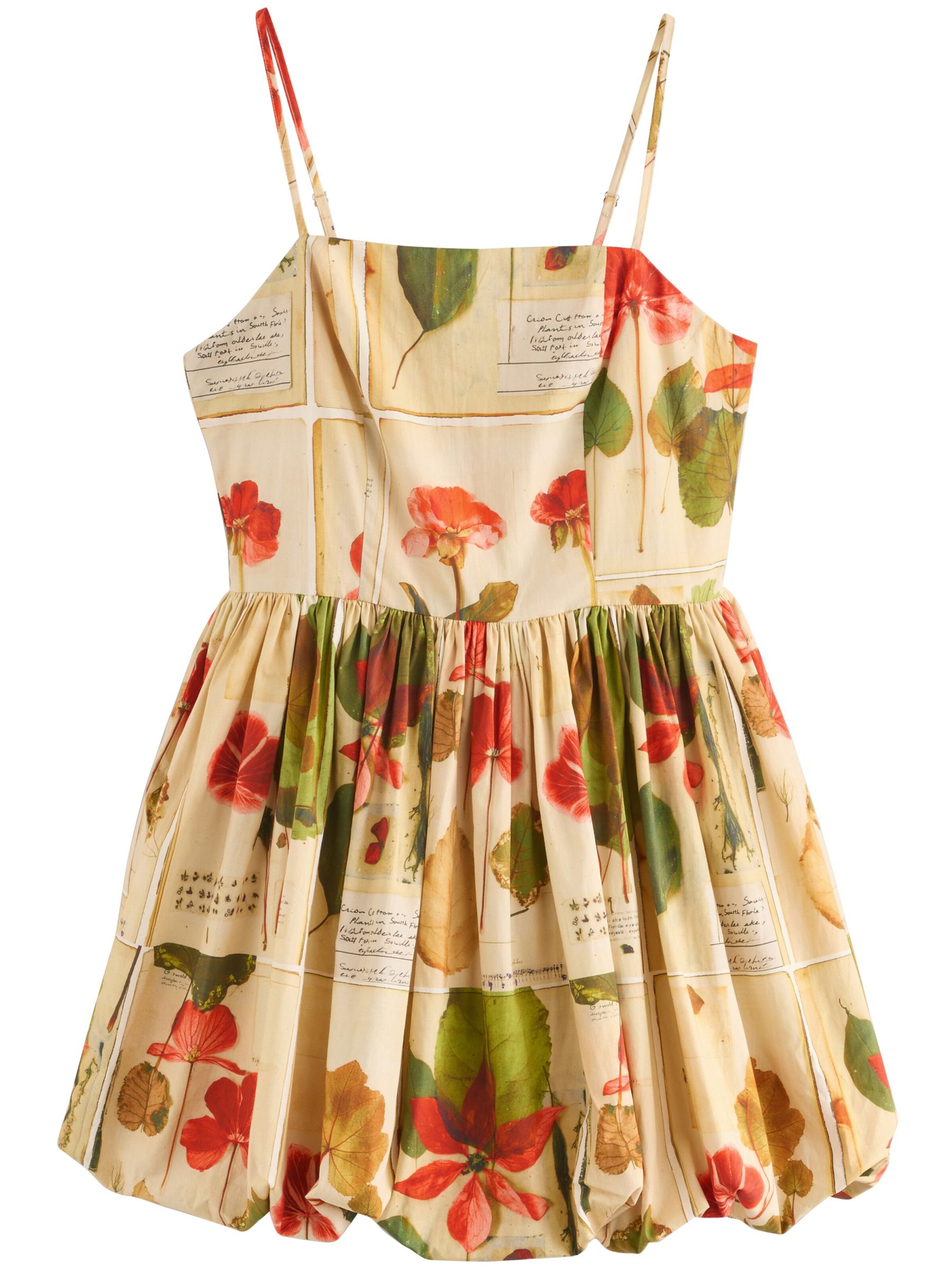 Next Kleid in Gelb: Vorderseite