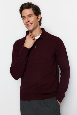 Trendyol Pullover in Rot: Vorderseite