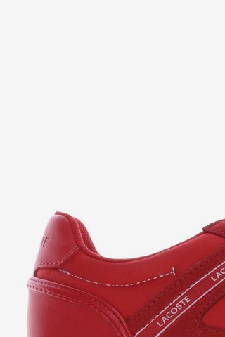 LACOSTE Sneakers & Trainers in 40 in Red