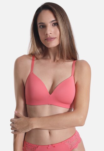 sassa T-shirt Bra 'CLASSIC LACE' in Orange: front