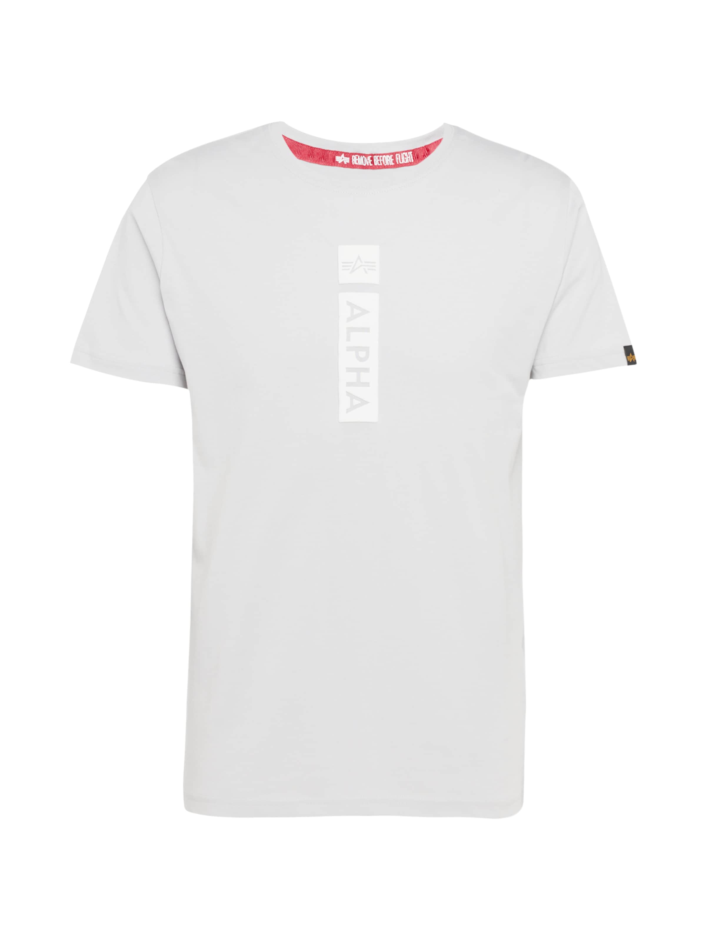 T-Shirt ALPHA INDUSTRIES en gris : devant