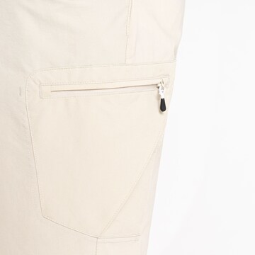 DARE2B Regular Outdoor Pants ' Tuned In II ' in White