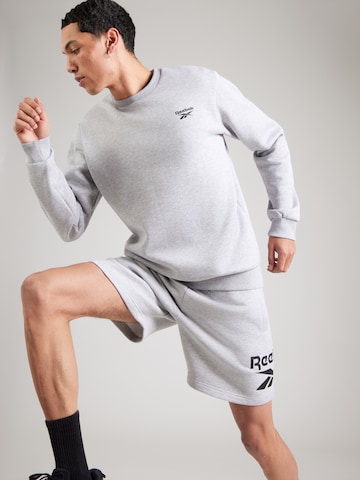 Reebok Αθλητική μπλούζα φούτερ 'KAI' σε γκρι: μπροστά