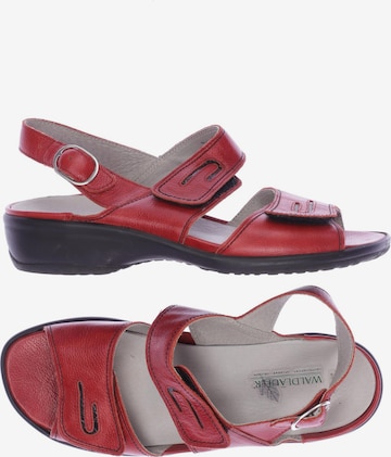 WALDLÄUFER Sandals & High-Heeled Sandals in 38,5 in Red: front