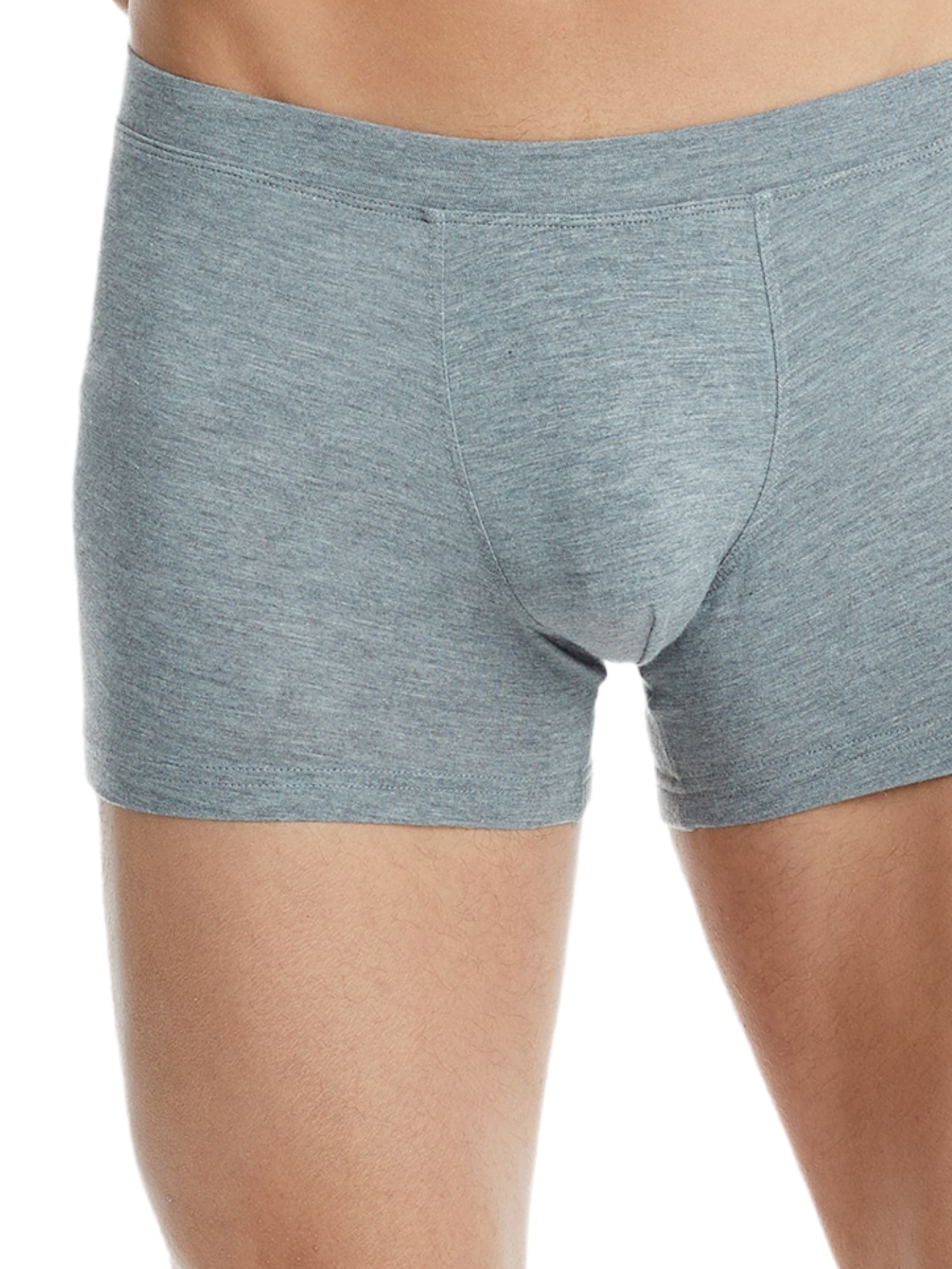 Blackspade Boxershorts in Grau