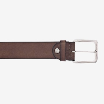 Ceinture VANZETTI en marron