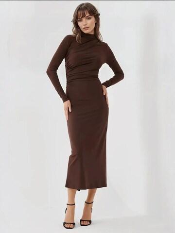 Hiccup Dress in Brown: front