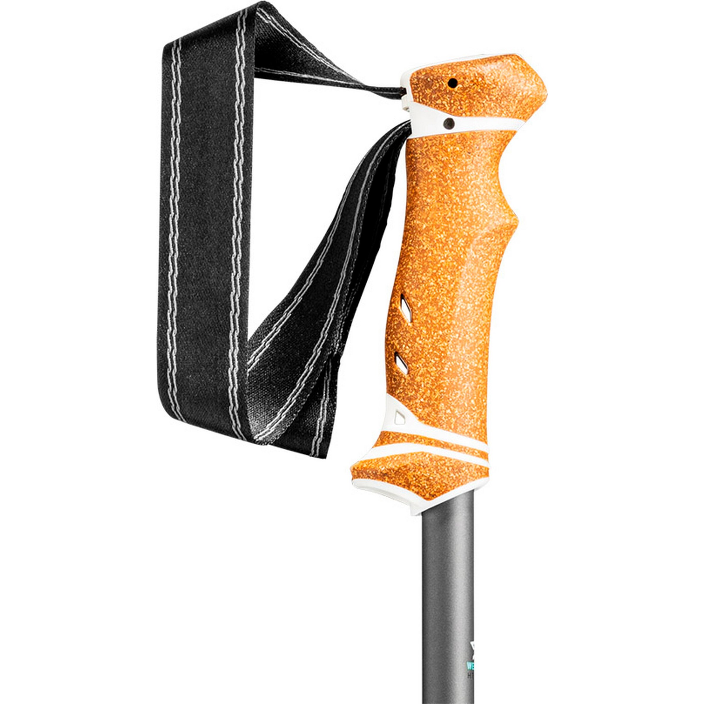 LEKI Stick 'Lhasa' in Black