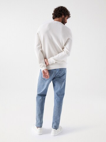 Salsa Jeans Pullover in Beige