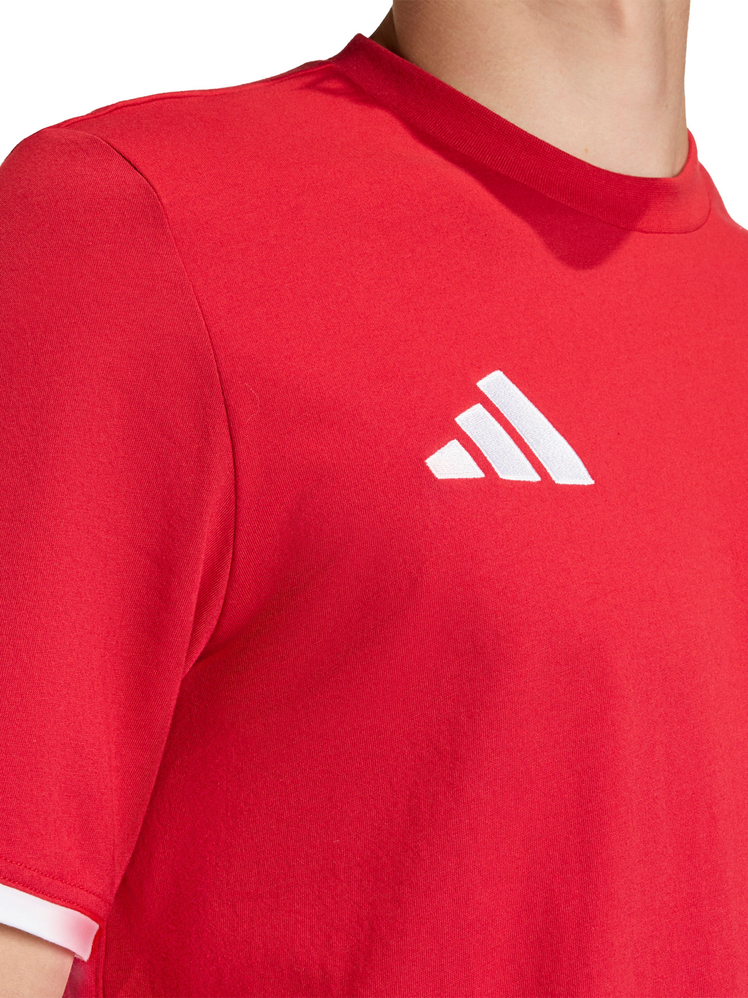 ADIDAS PERFORMANCE Λειτουργικό μπλουζάκι 'ENT26' σε κόκκινο