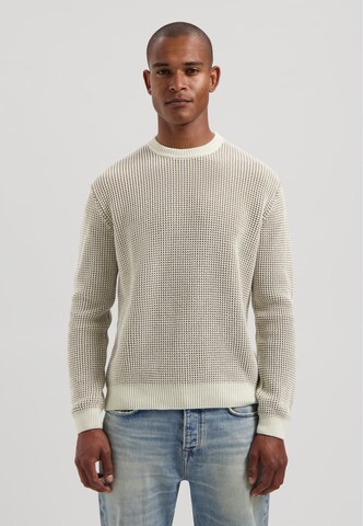 Dstrezzed Sweater 'Leones' in Grey: front