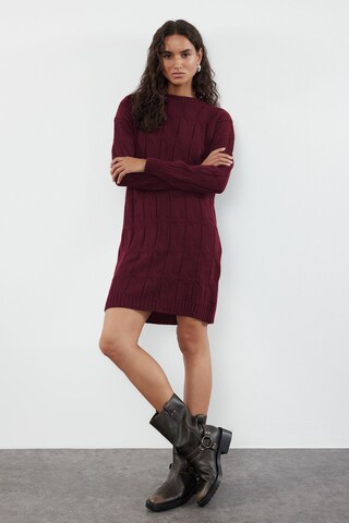 Trendyol Kleid in Rot
