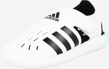 ADIDAS SPORTSWEAR - Sapato de praia/banho em branco: frente
