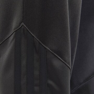 Tapered Pantaloni di ADIDAS ORIGINALS in grigio