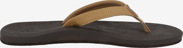 REEF T-Bar Sandals 'Tides' in Brown