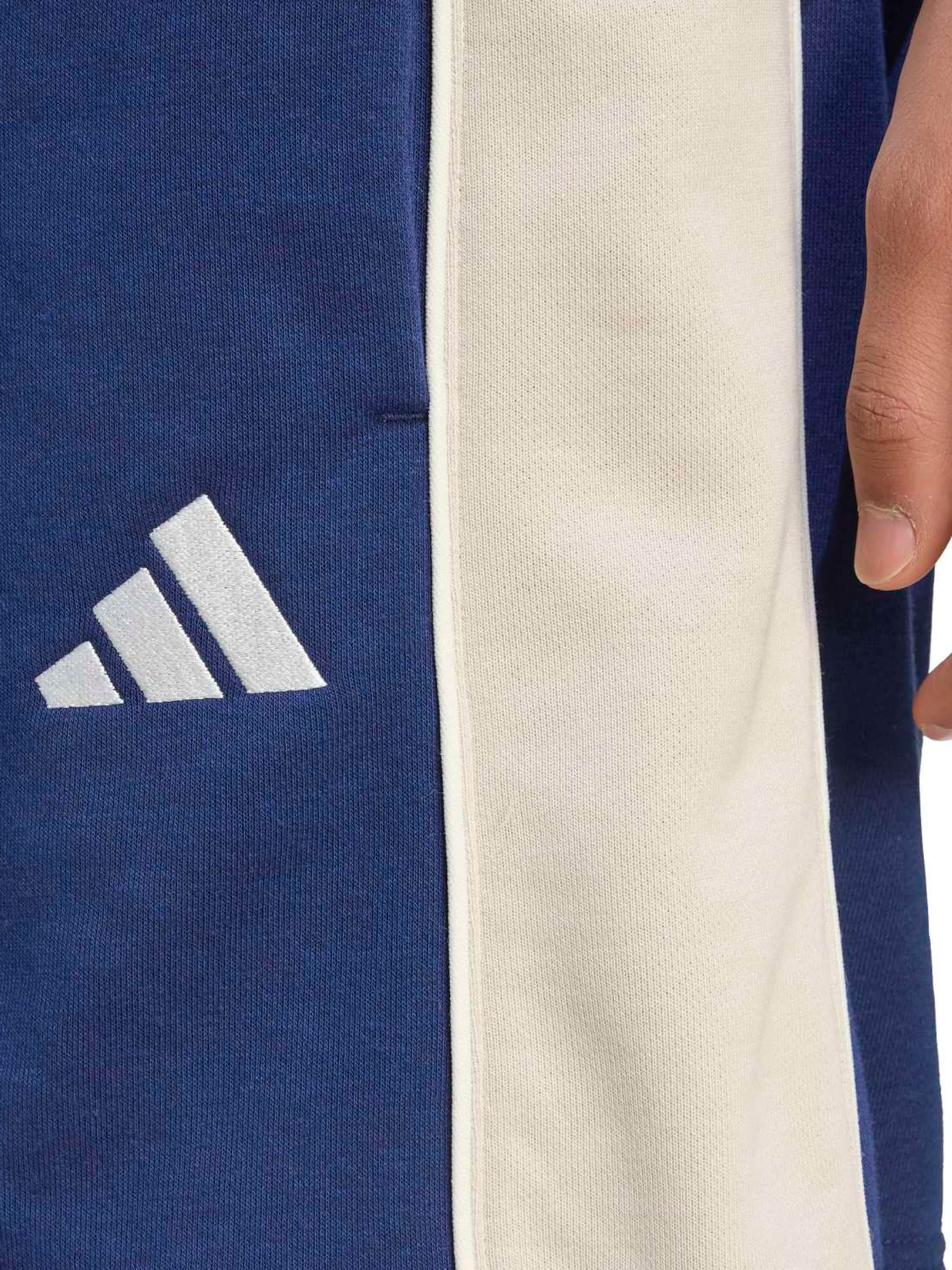 Loosefit Pantalon de sport 'CB' ADIDAS SPORTSWEAR en bleu