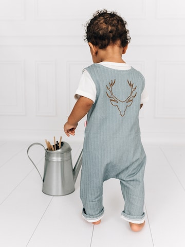 Mogo Dungarees 'Similaun blau' in Blue