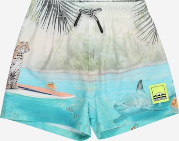 Molo Badeshorts 'Niko' in Blau: Vorderseite