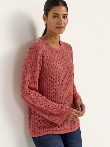 Cellbes of Sweden Sweater in Brown: front