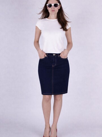 Fraternel Skirt in Blue