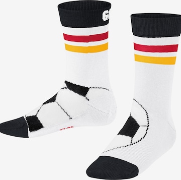 FALKE Socken 'Active Soccer' in Weiß: Vorderseite