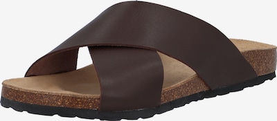 Bianco Sandalen 'BIACEDAAR' in schoko, Produktansicht