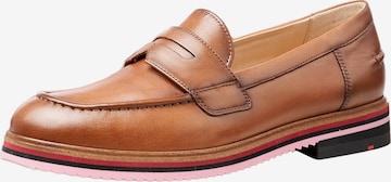 LLOYD Classic Flats in Brown