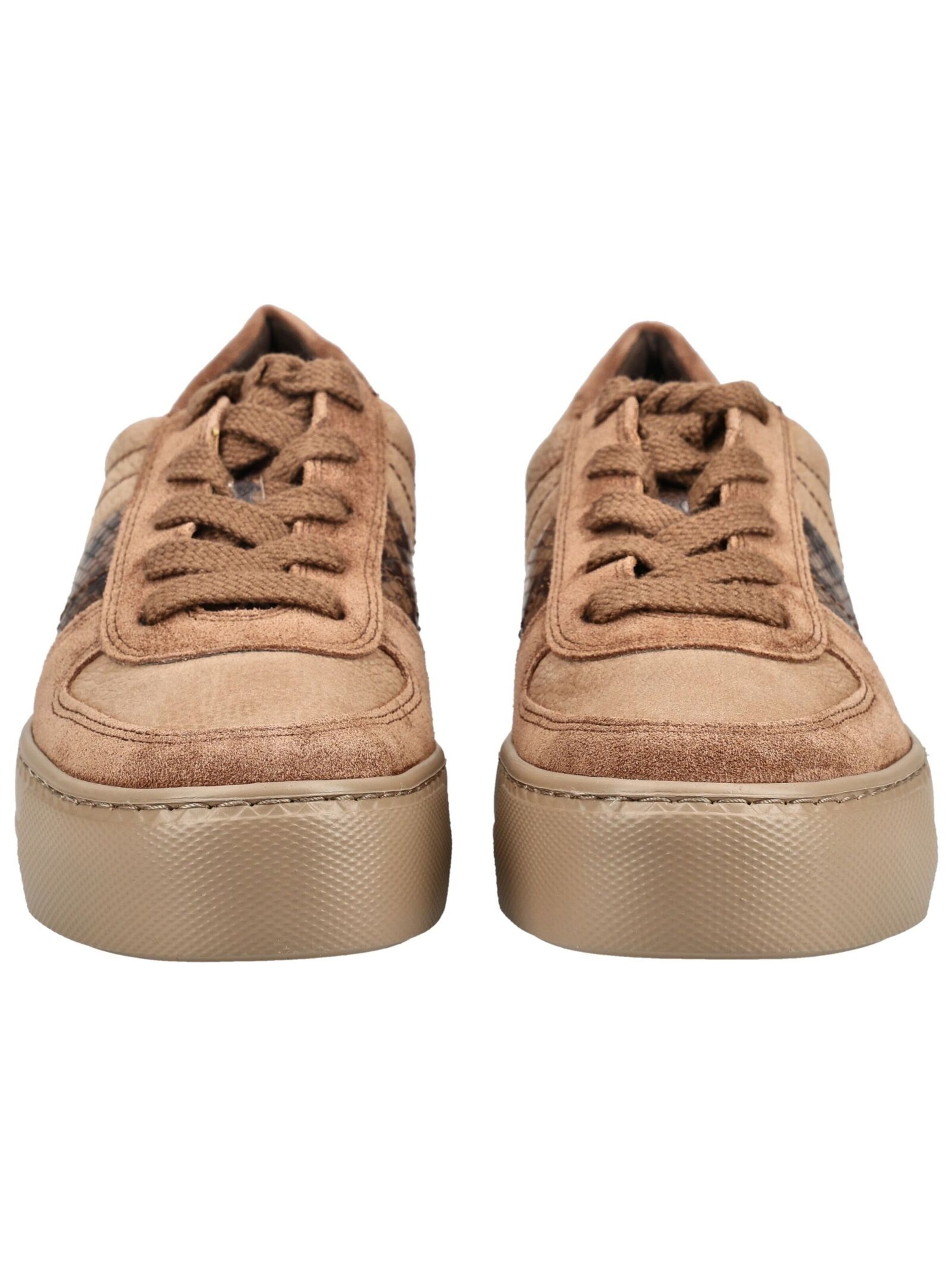 Paul Green Sneakers in Brown
