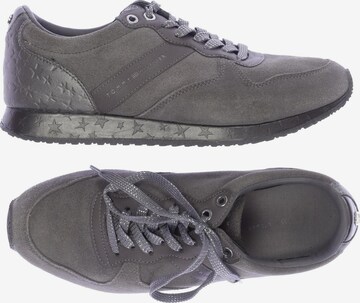 TOMMY HILFIGER Sneakers & Trainers in 41 in Grey: front