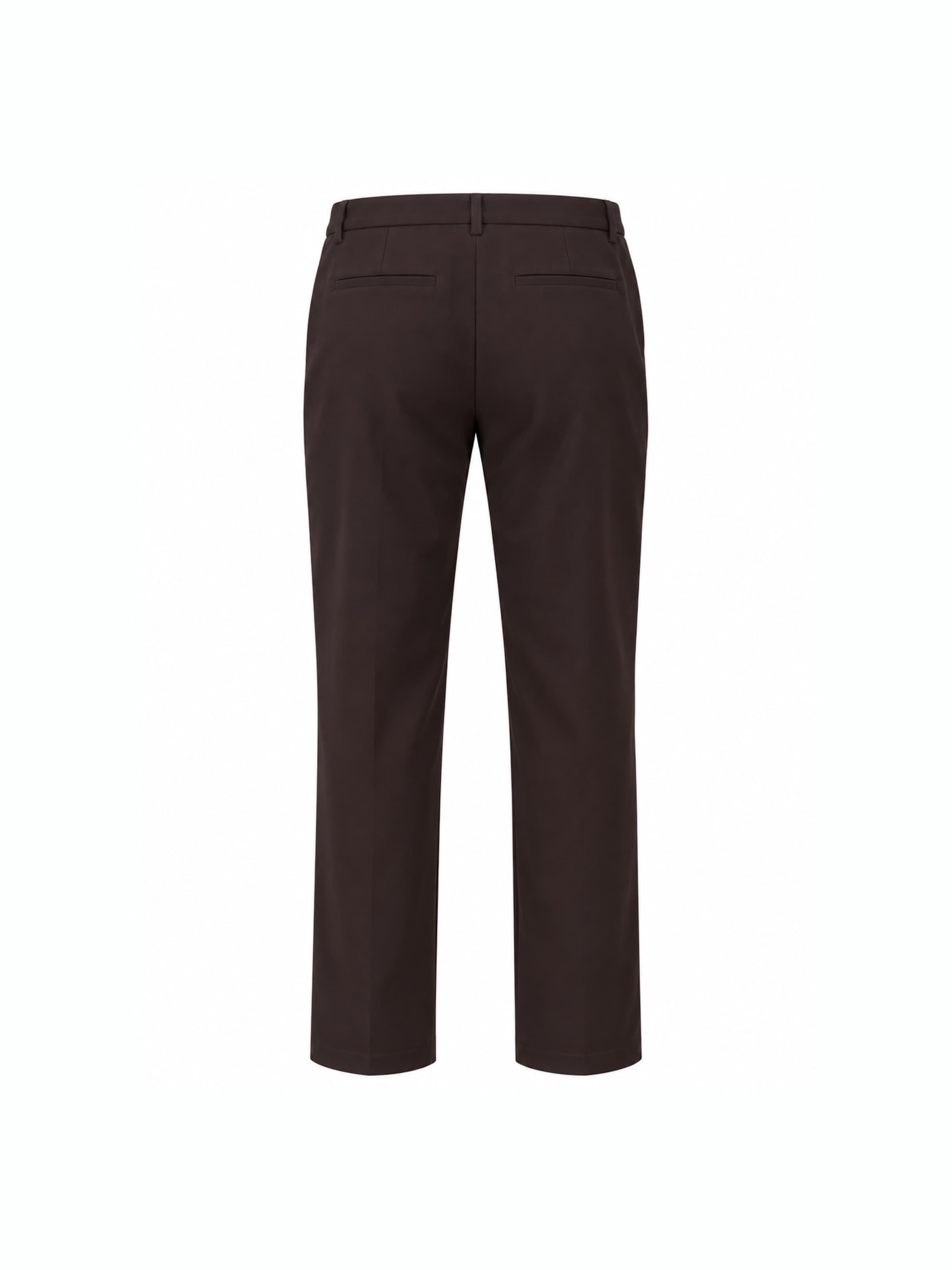 TRAPP Конический (Tapered) Штаны в Коричневый