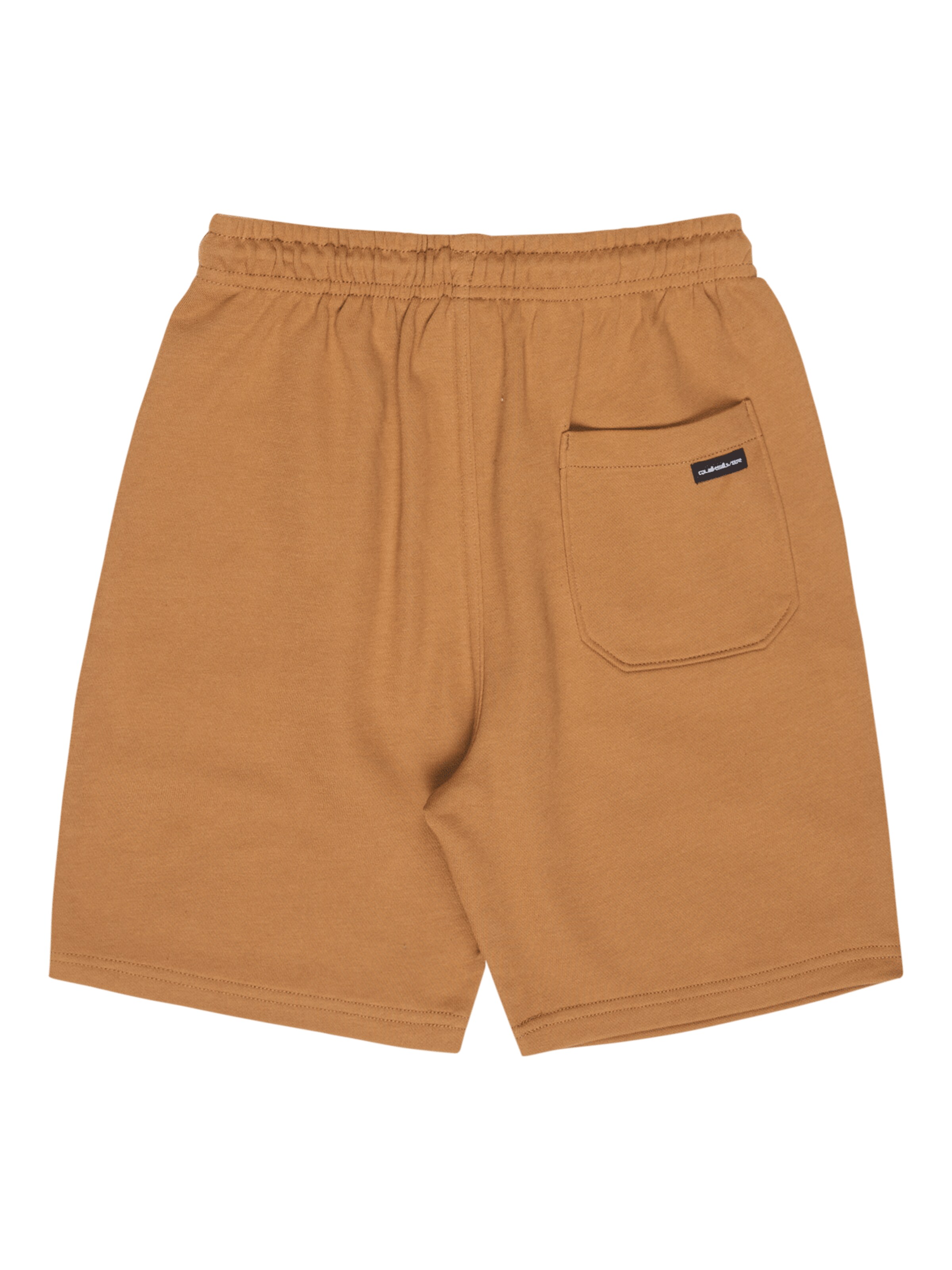 QUIKSILVER Regular Shorts ' Easy Day ' in Braun