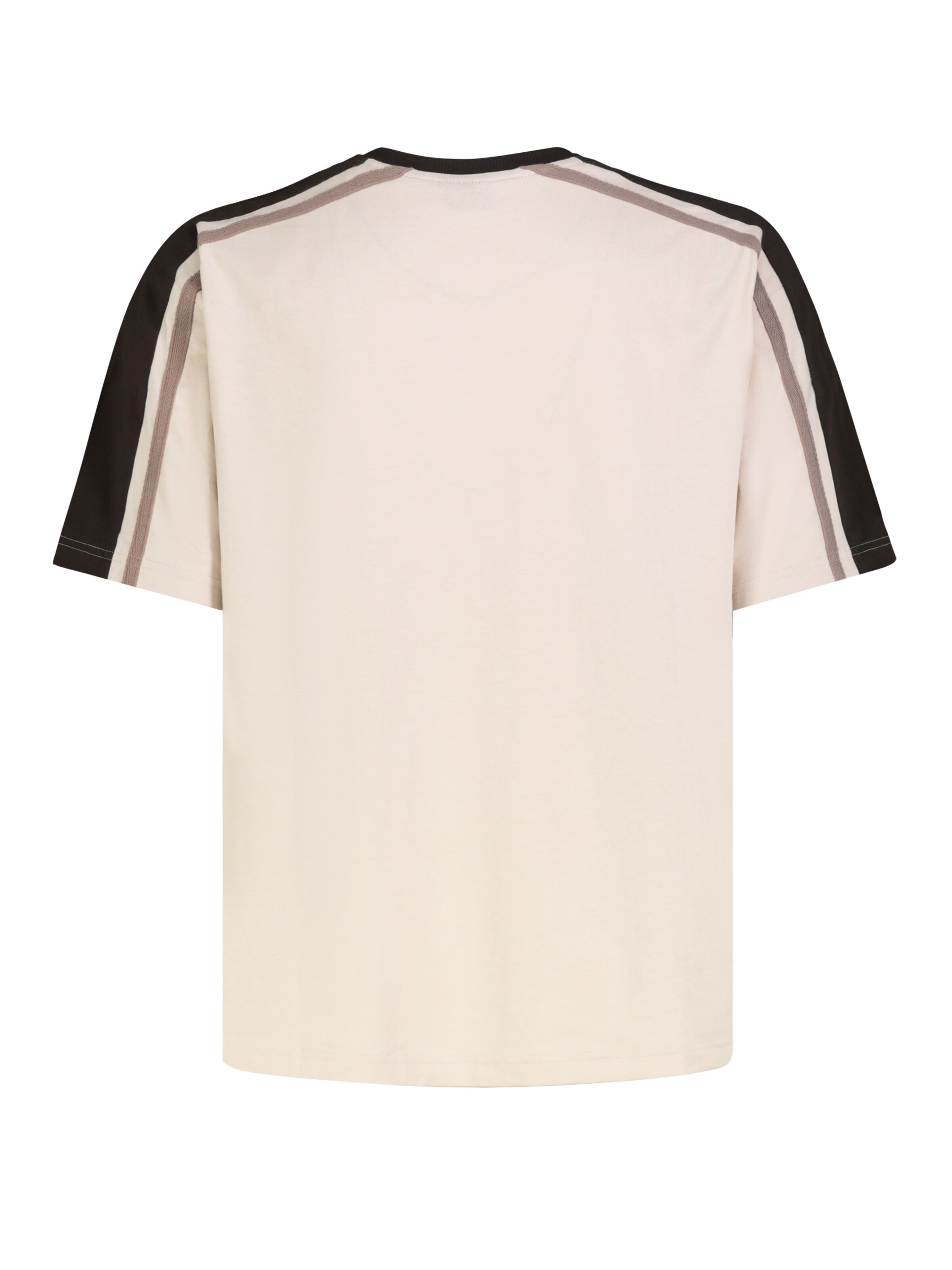 Sublevel T-Shirt in Beige