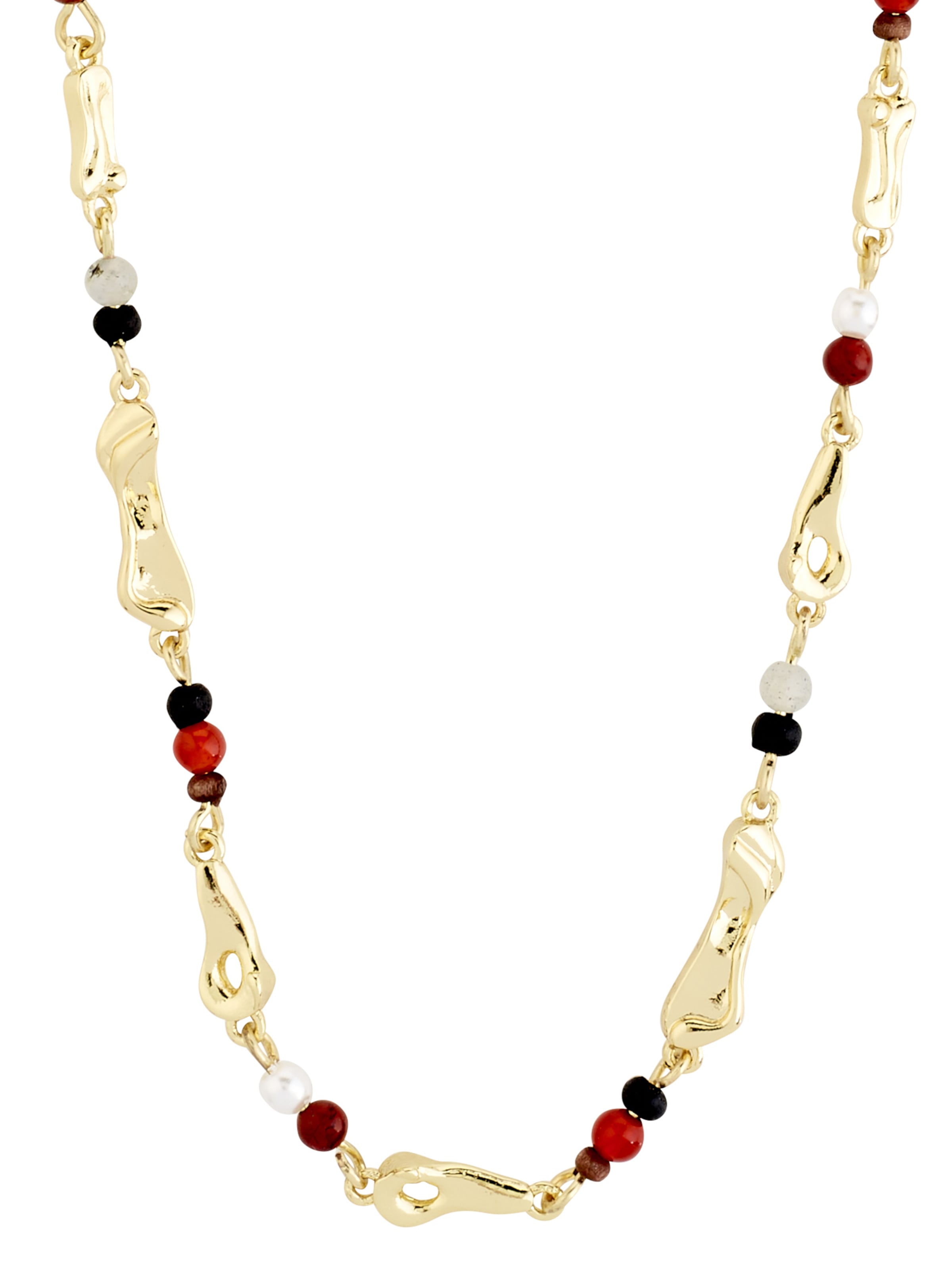 zelts Pilgrim Ķēdīte 'Dawn'