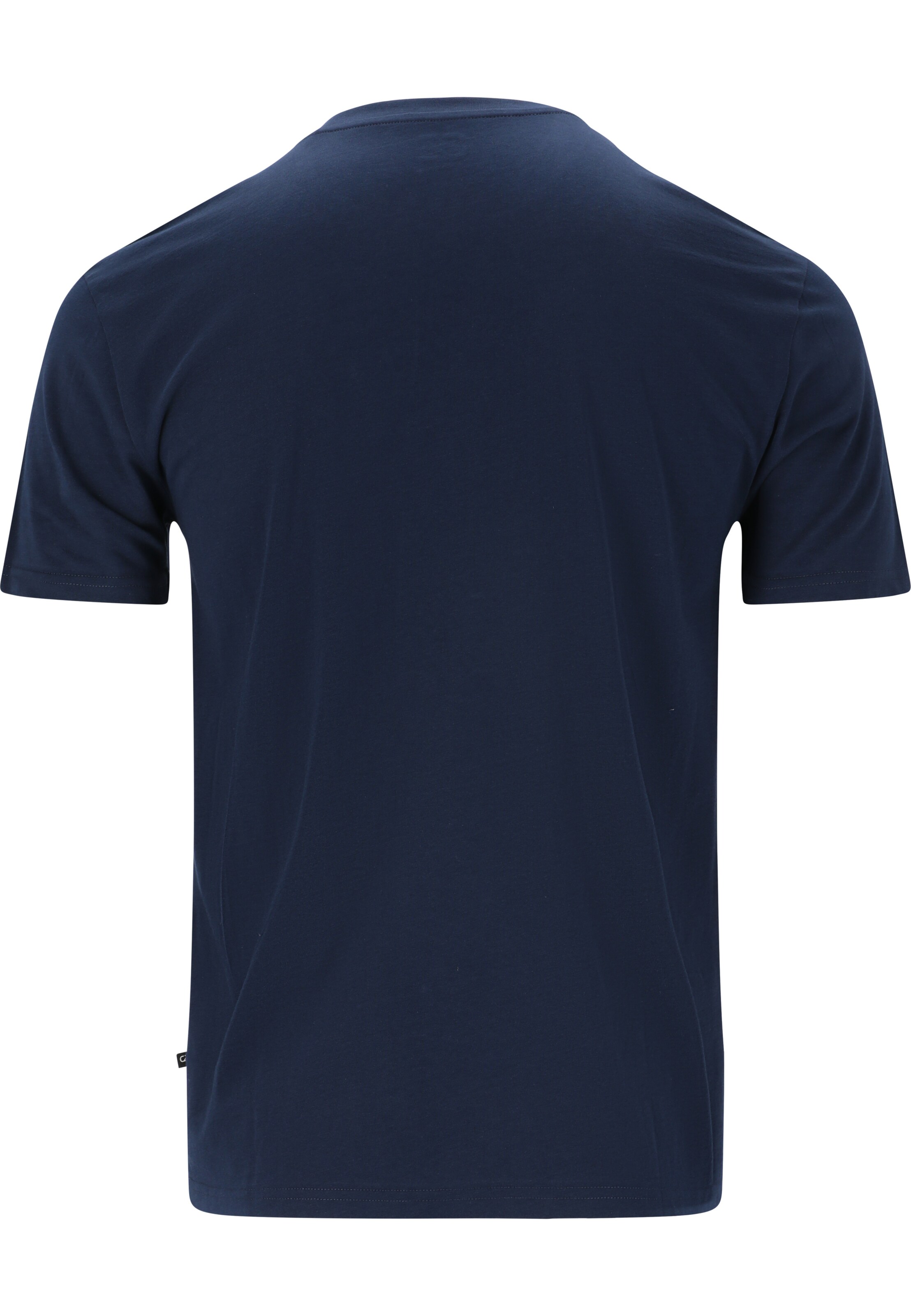 Cruz T-Shirt 'Gander' in Blau