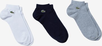 Lacoste Sport Sportsocken in Grau