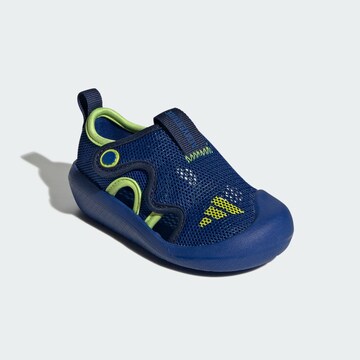 Calzatura aperta 'Altaventure 3' di ADIDAS SPORTSWEAR in blu