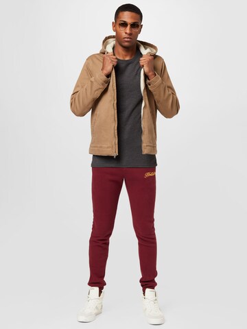 Veste mi-saison HOLLISTER en marron