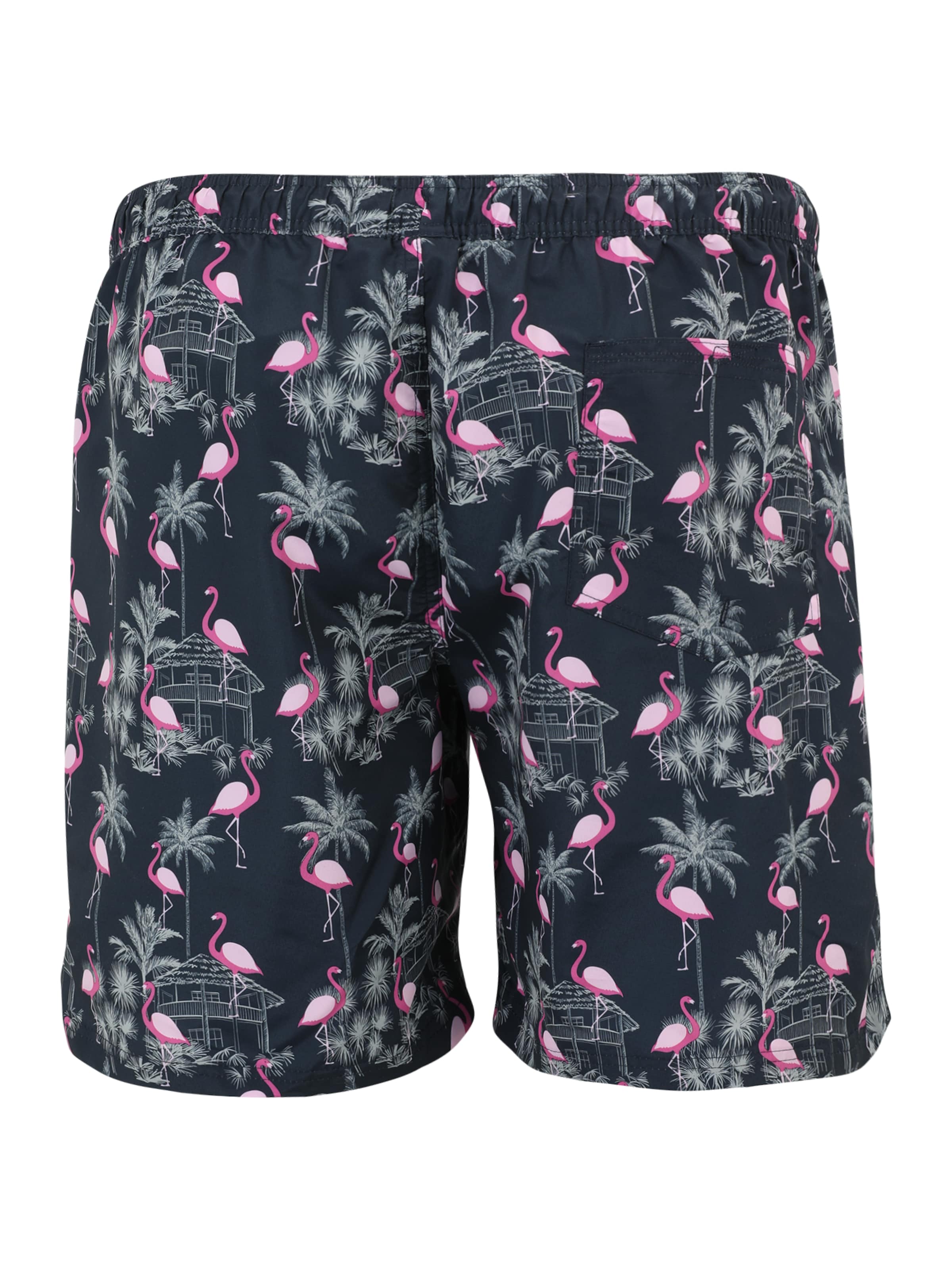 Shorts de bain 'JJFIJIPLS' Jack & Jones Plus en bleu