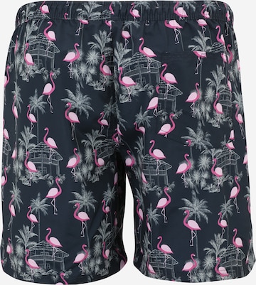 Jack & Jones Plus Zwemshorts 'FIJI' in Blauw