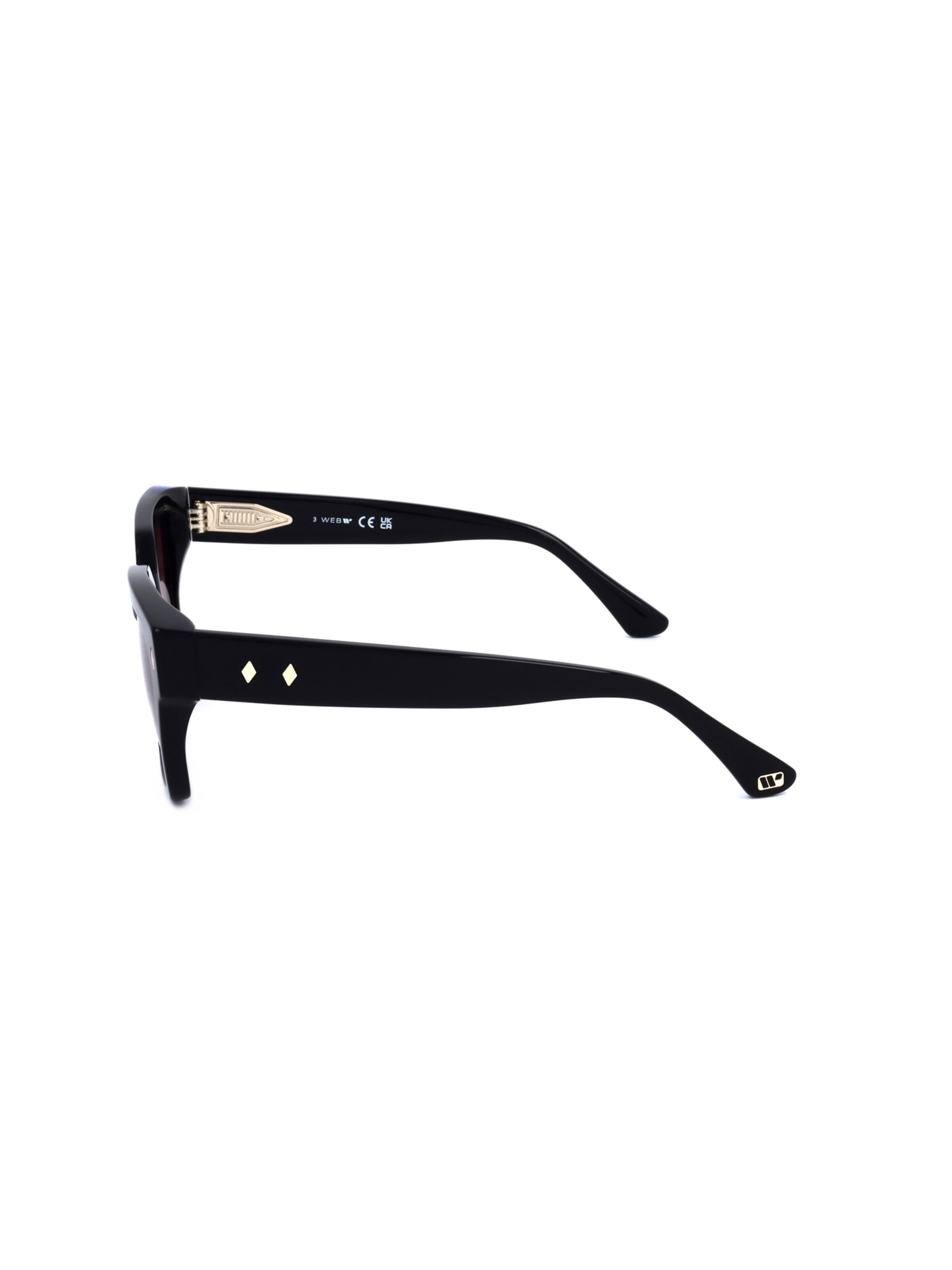 Occhiali da sole 'WE0351' di Web Eyewear in nero