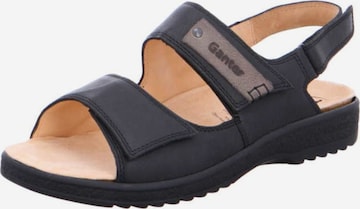 Ganter Sandals in Black: front