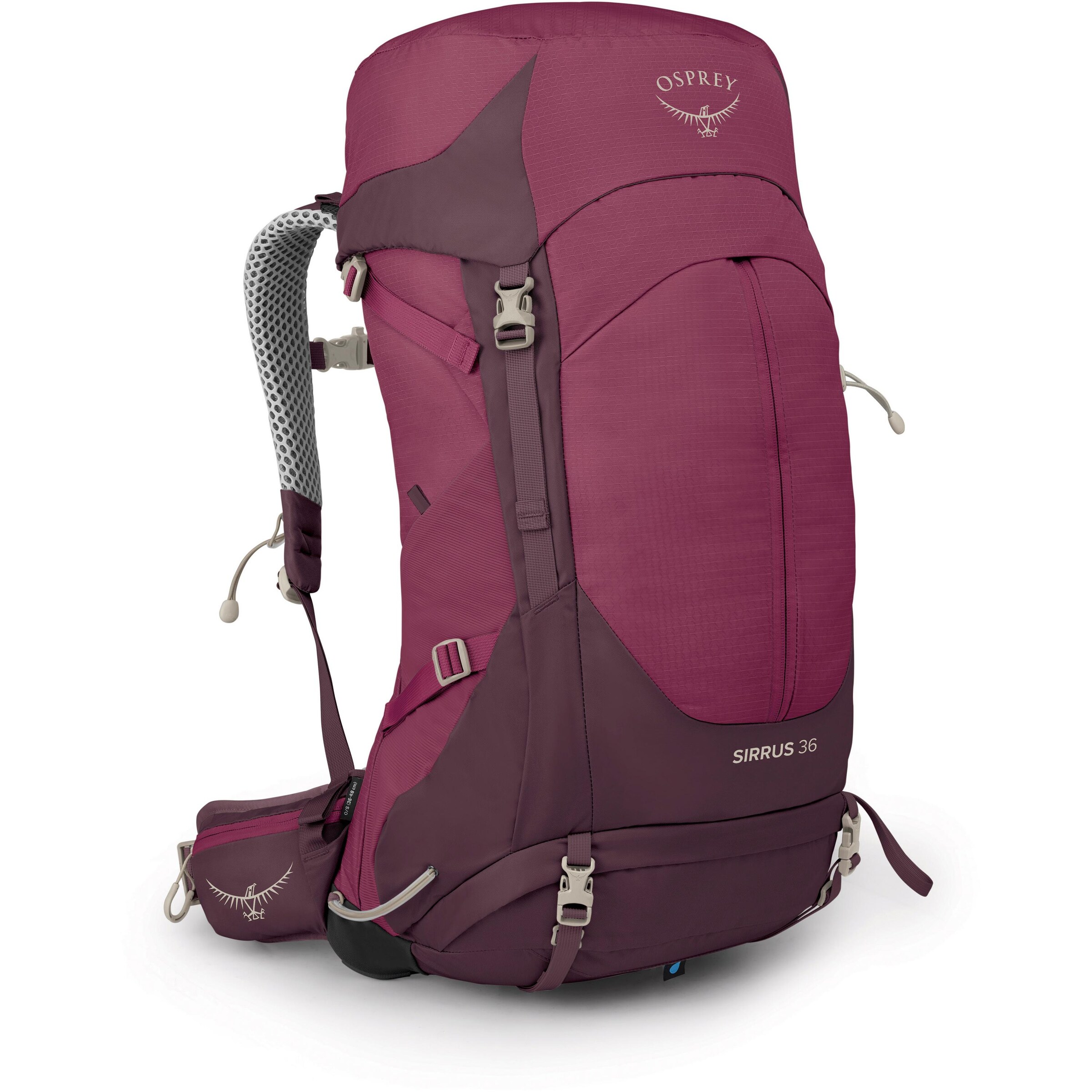 Osprey Sports Backpack in Red